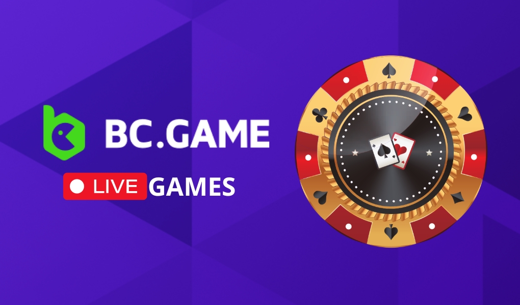 Casino Japan's – Premier Online Crypto Portal 0